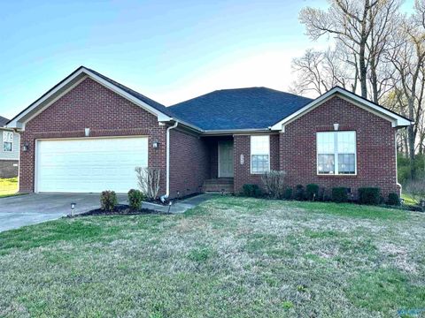 Homes For Rent - 228 Tanner Point Drive<br/> New Market, AL 35761