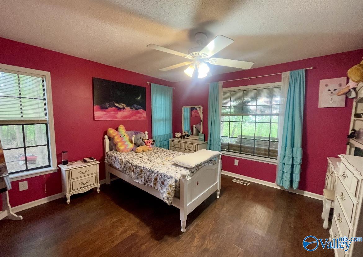 1055 Georgia Mountain Road, Guntersville, Alabama image 15