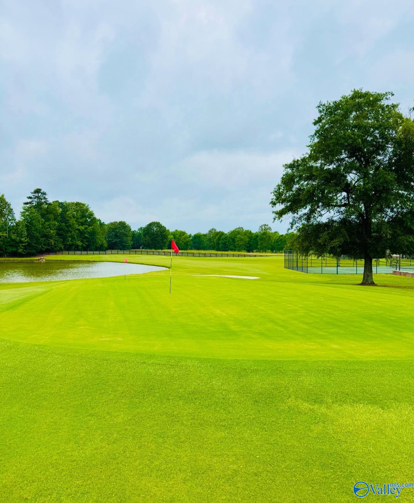 2400 Breeding Drive, Hartselle, Alabama image 19