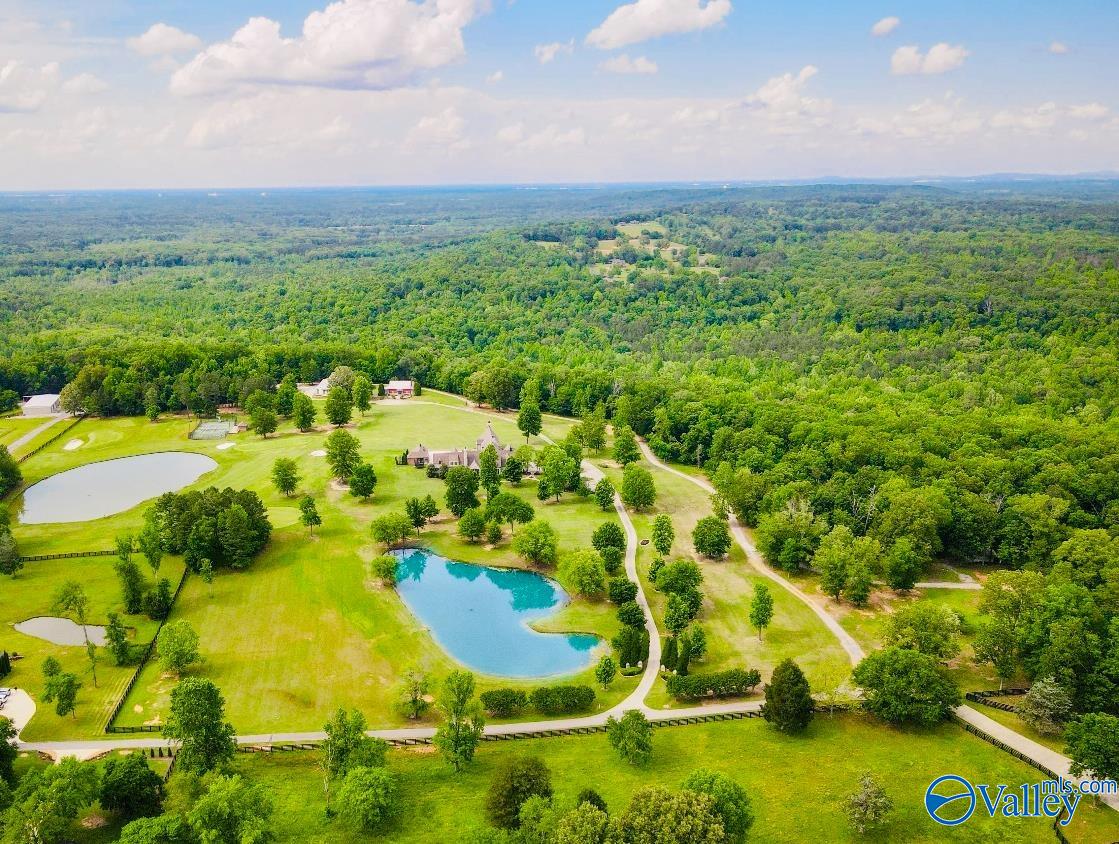 2400 Breeding Drive, Hartselle, Alabama image 49