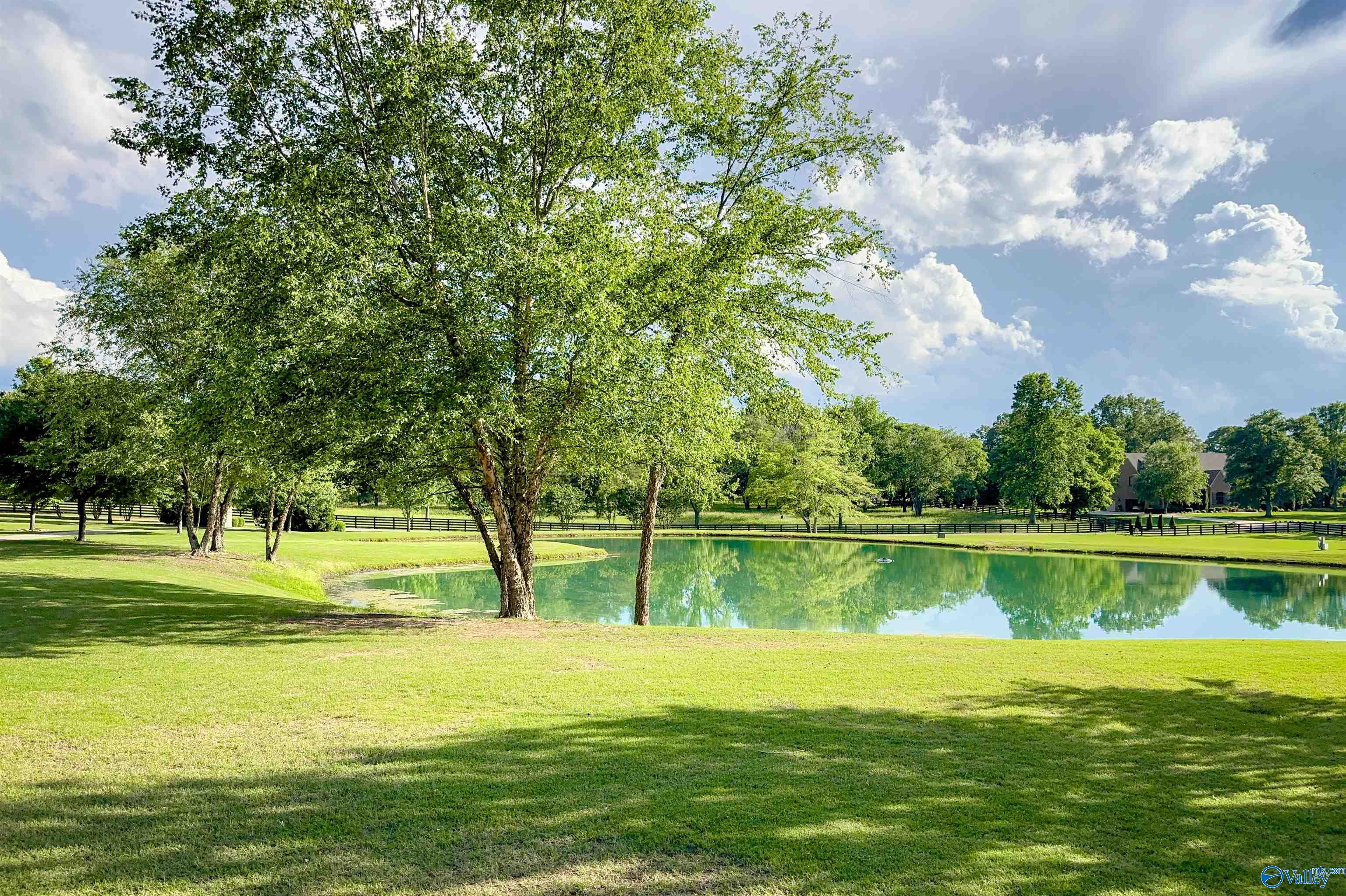 2400 Breeding Drive, Hartselle, Alabama image 12