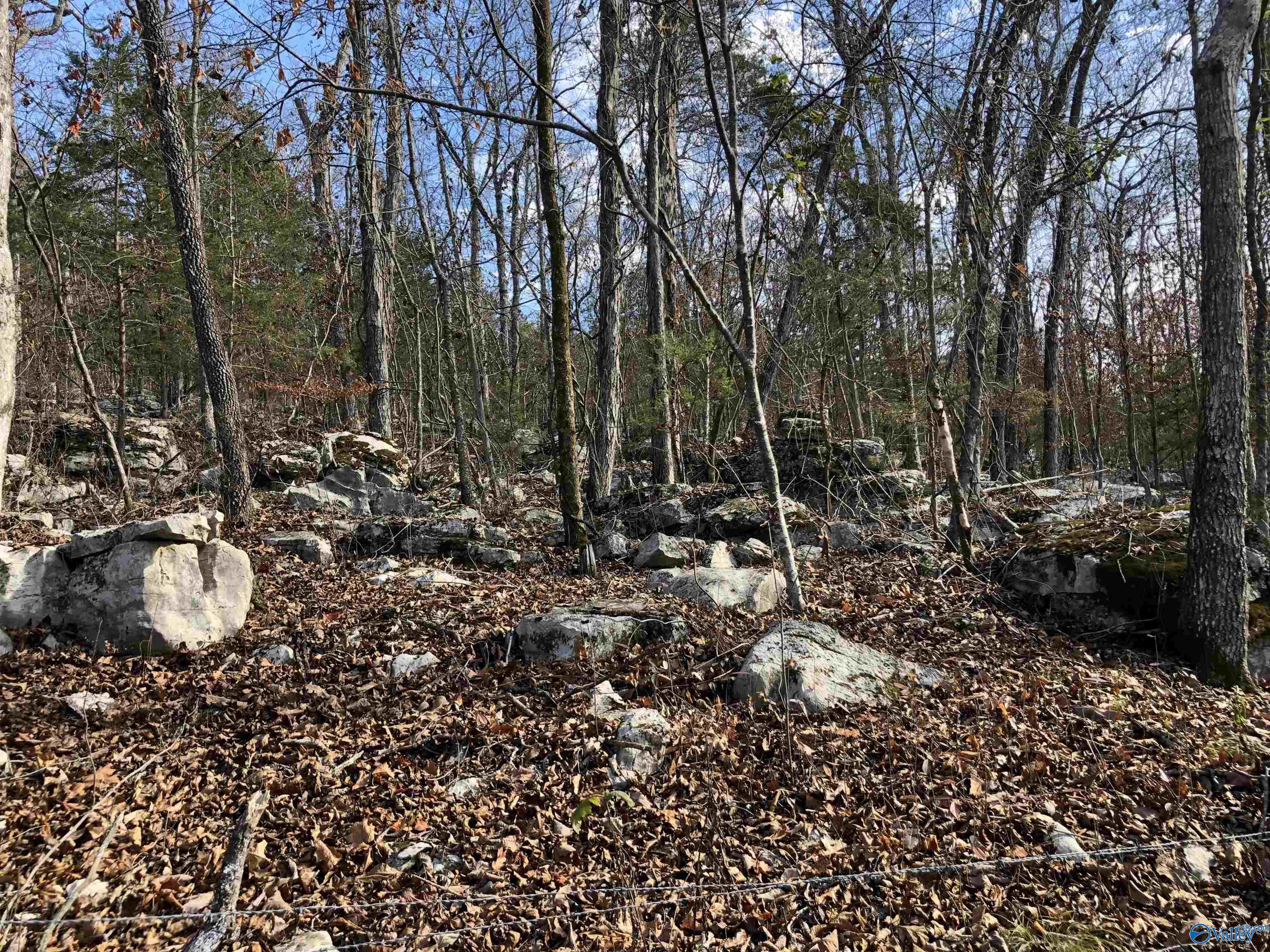 LOT 0 Bettinger Mountain Road, Union Grove, Alabama image 3