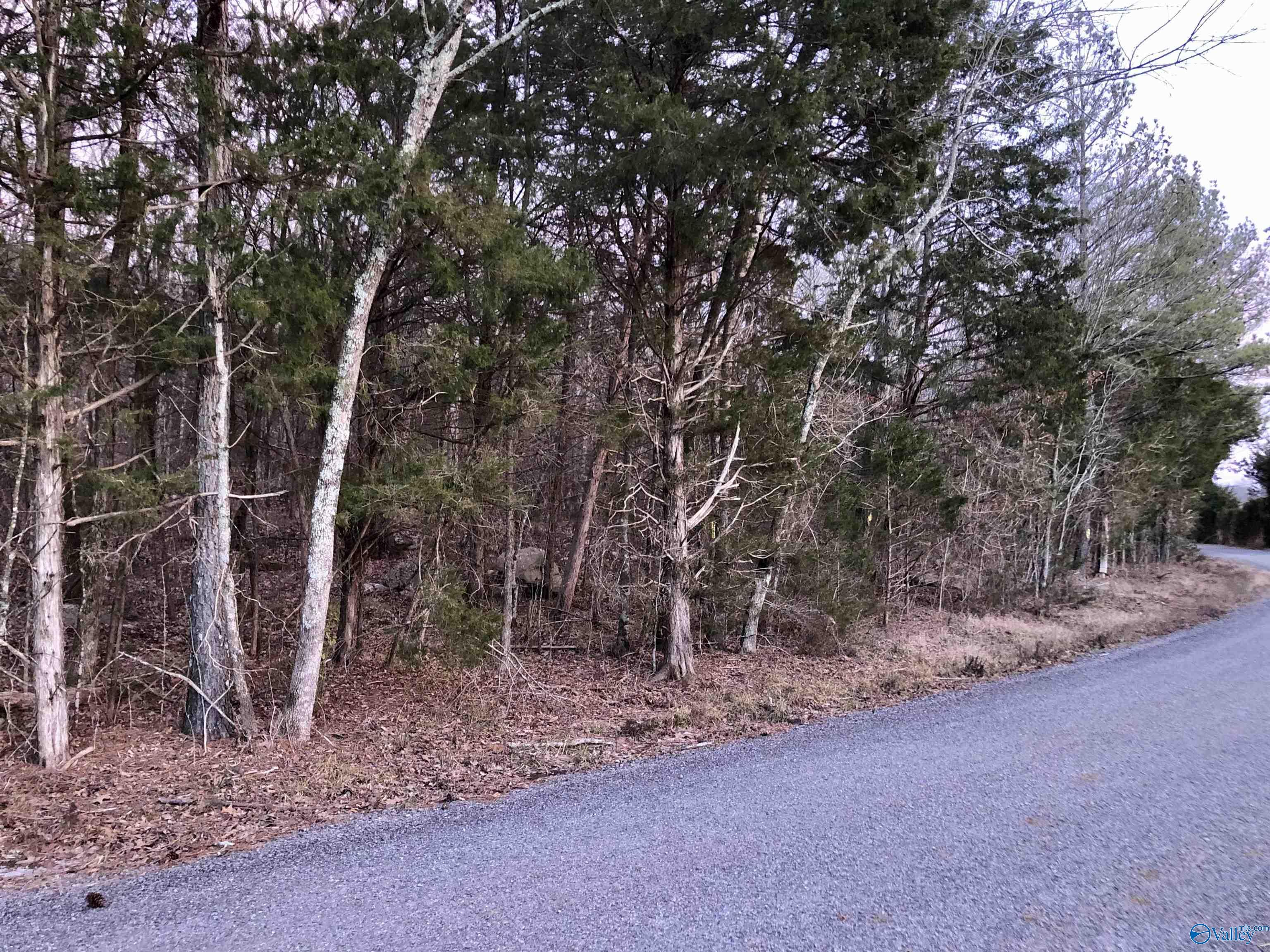 LOT 0 Bettinger Mountain Road, Union Grove, Alabama image 2