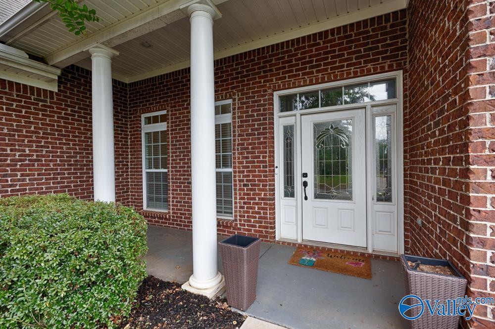 133 Mill Park Lane, Madison, Alabama image 4