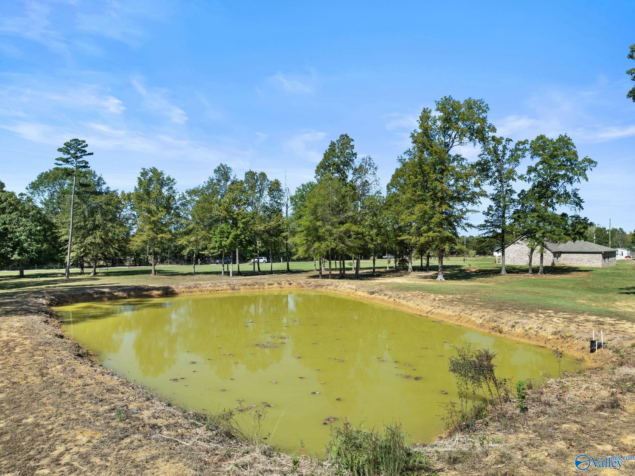 5207 County Road 222, Hillsboro, Alabama image 9