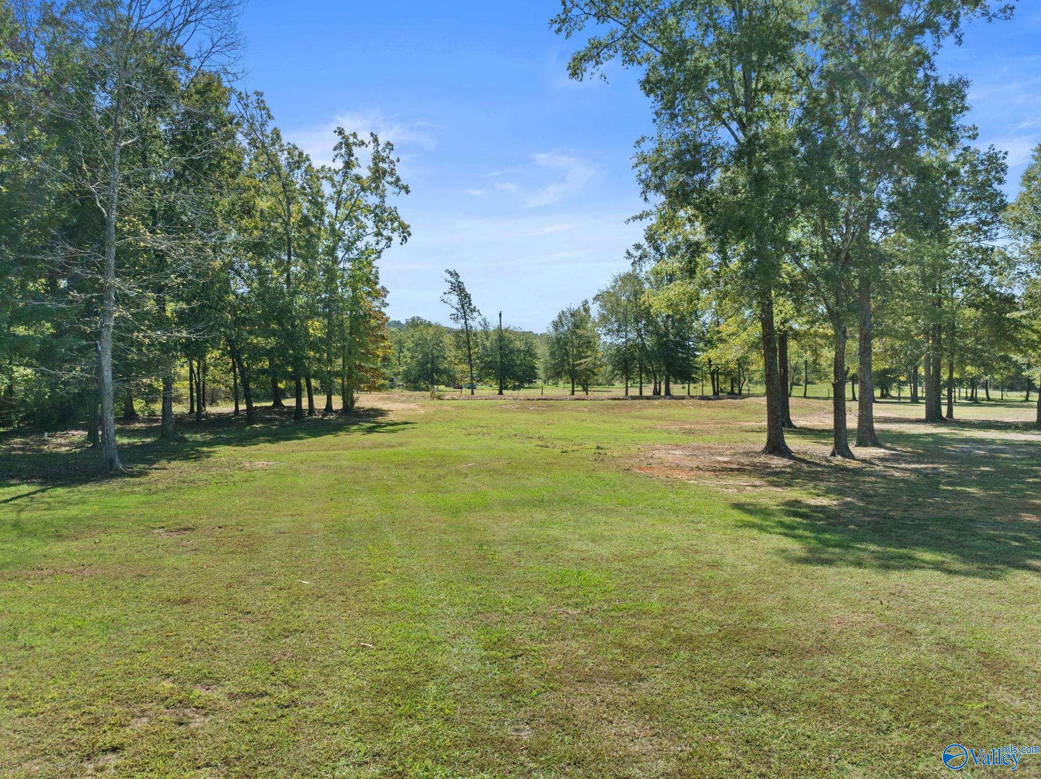 5207 County Road 222, Hillsboro, Alabama image 11