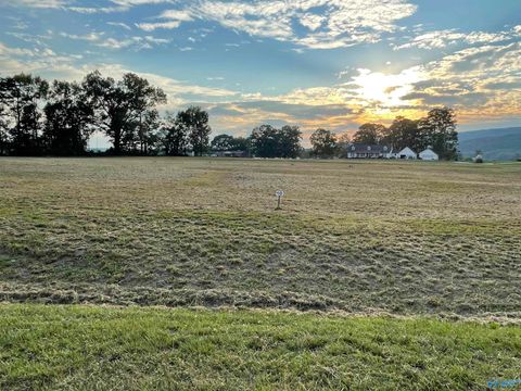 Vacant Land For Sale - 1100 Lake Forest Drive<br/> Etowah County, Southside, AL 35907