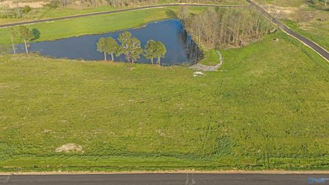 Lot 6 Garrett Street Rainsville AL 35986
