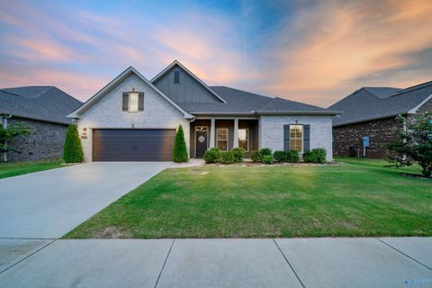 Photo of 12906 Hudbug Drive, Madison, AL 35756 (MLS # 21905819)