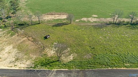 Lot 18 Garrett Street Rainsville AL 35986