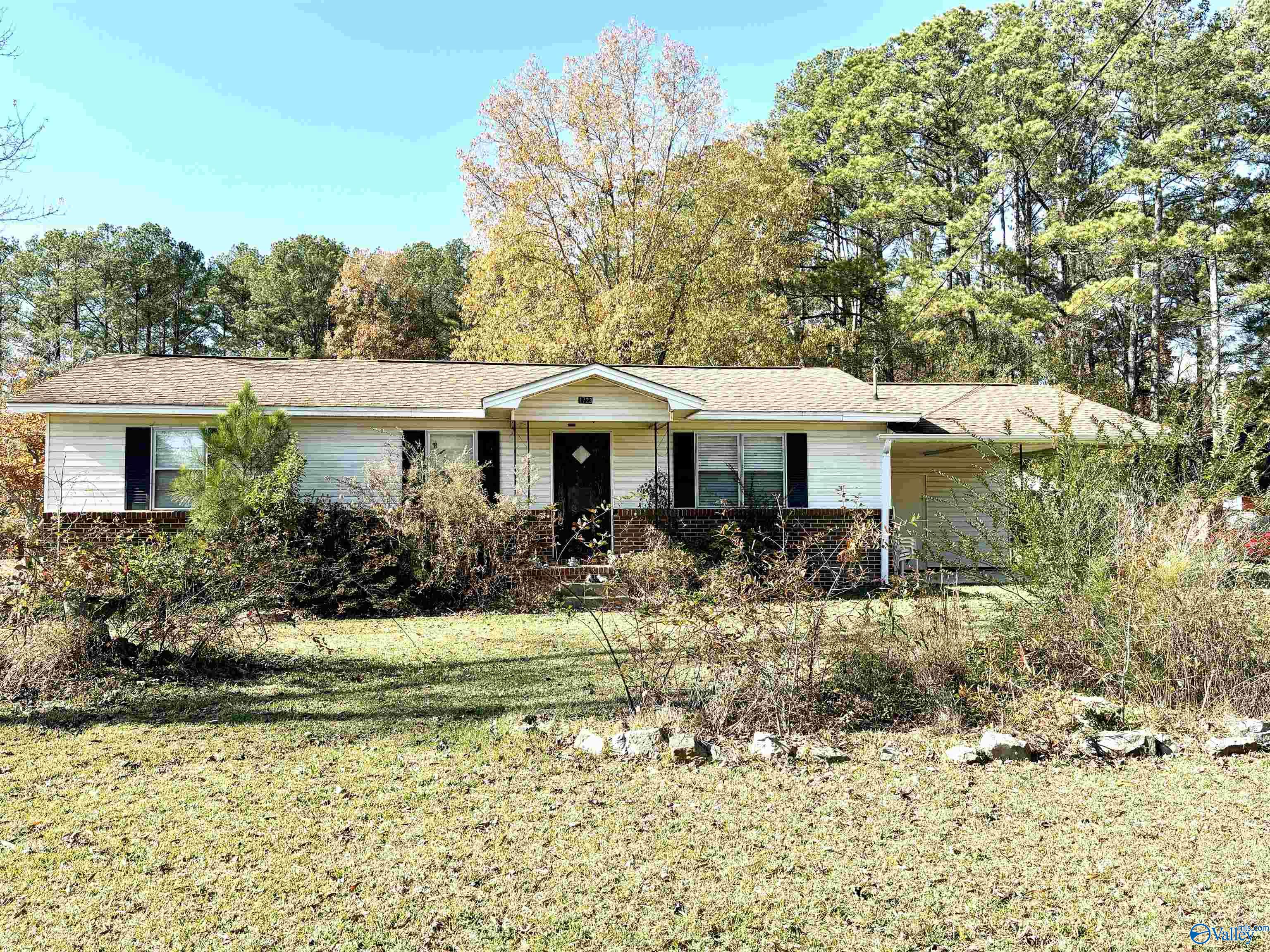 1723 Elwyn Avenue, Gadsden, Alabama image 1