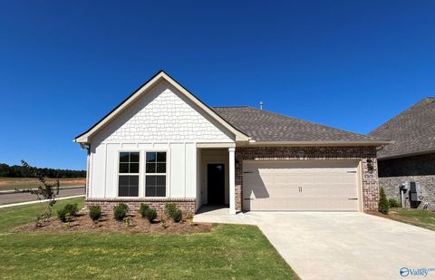 Homes For Sale - 17675 Cabernet Street<br/> Limestone County, Athens, AL 35613