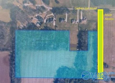 Vacant Land For Sale - 19 ACRES Carters Gin Road<br/> Toney, AL 35773