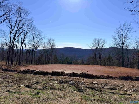 Vacant Land For Sale - 85 Watson Grande Way<br/> Owens Cross Roads, AL 35763