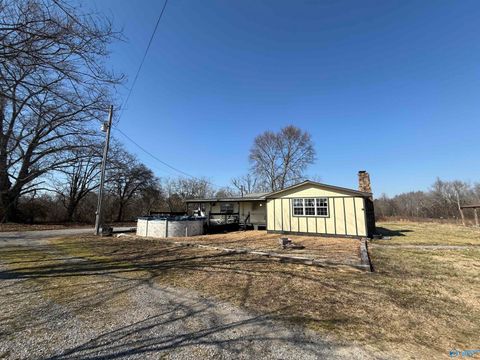 Photo of 4994 County Road 141, Ider, AL 35981 (MLS # 21909608)