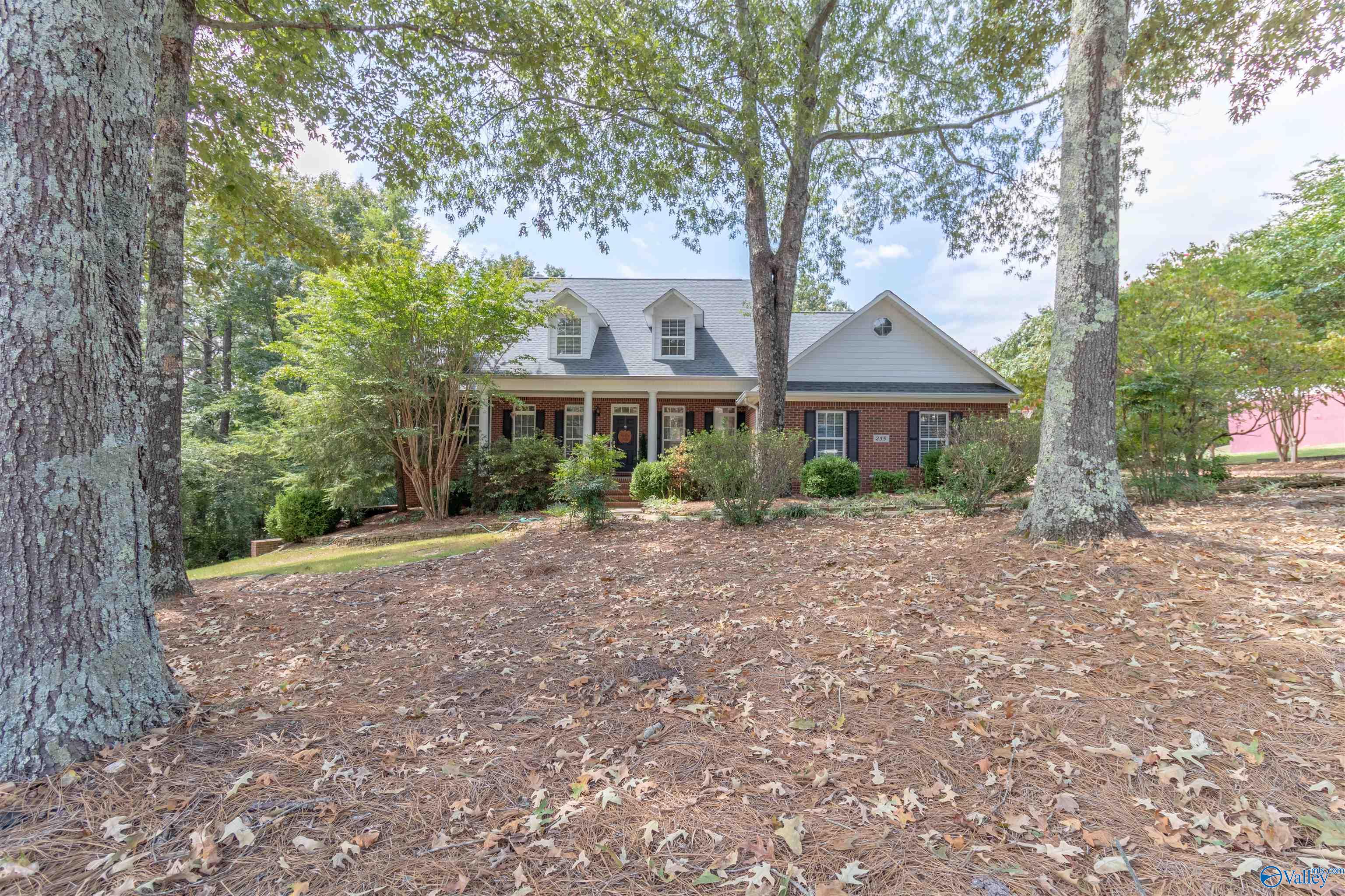 255 River Pointe Drive, Guntersville, Alabama image 1