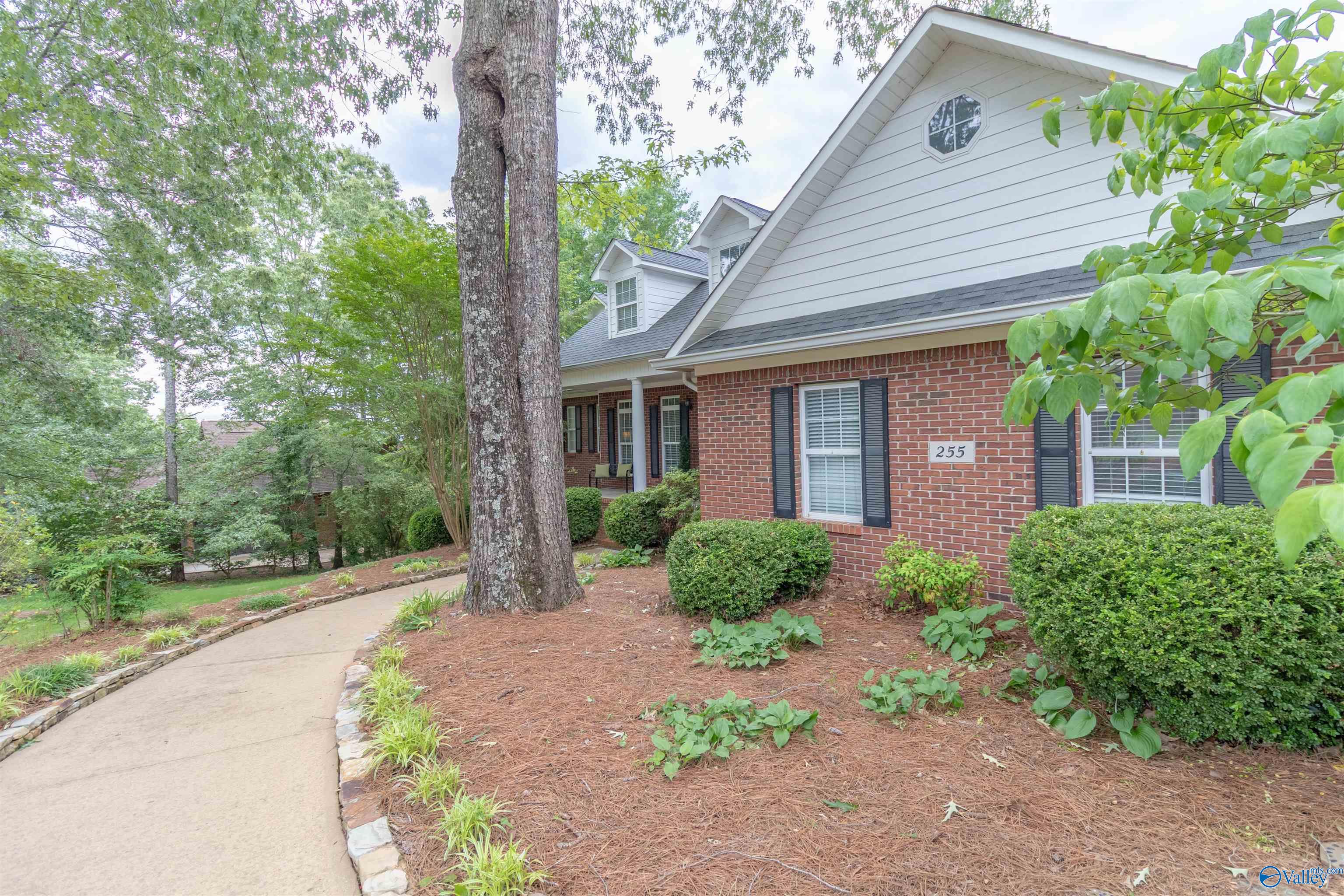 255 River Pointe Drive, Guntersville, Alabama image 5