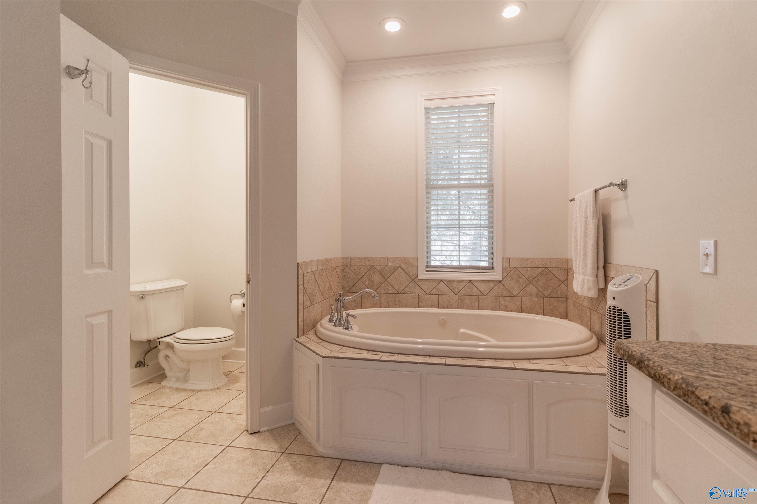 255 River Pointe Drive, Guntersville, Alabama image 20