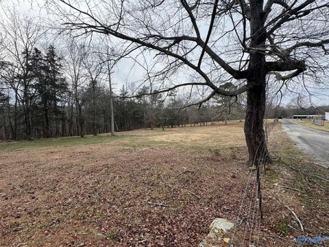 Vacant Land For Sale - 215 County Road 845<br/> Henagar, AL 35978