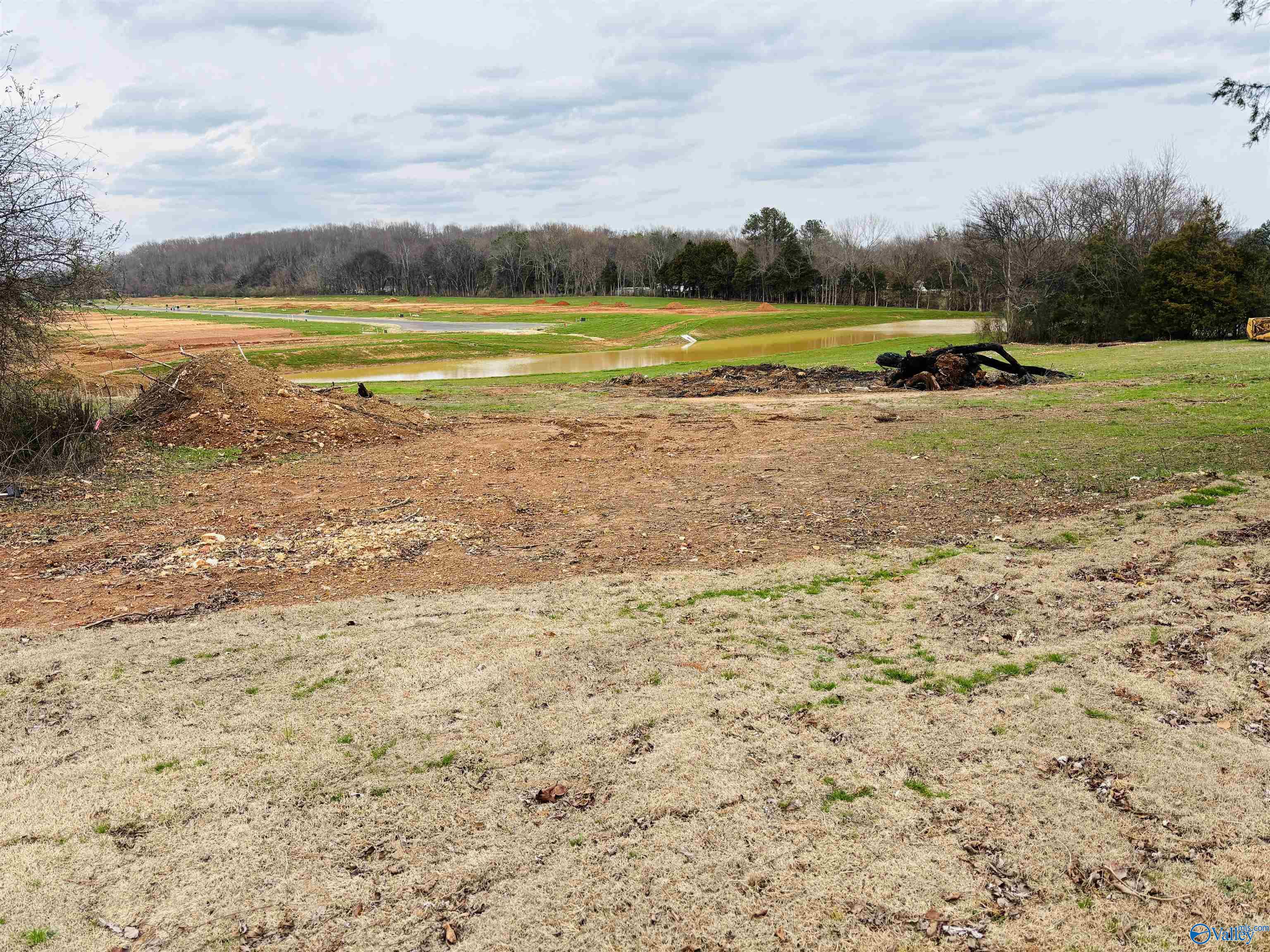 603 Wall Road, Huntsville, Alabama image 2