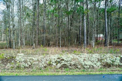 Vacant Land For Sale - LOT 13 Hiawatha Place<br/> Etowah County, Rainbow City, AL 35906