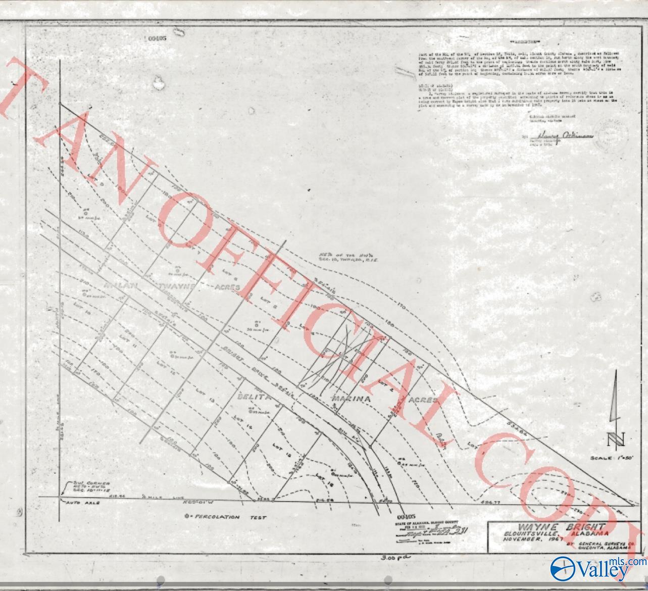 LOT 2 Bright Drive, Blountsville, Alabama image 2