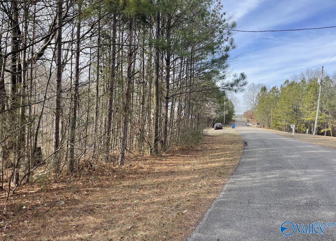 LOT 2 Bright Drive, Blountsville, Alabama image 3