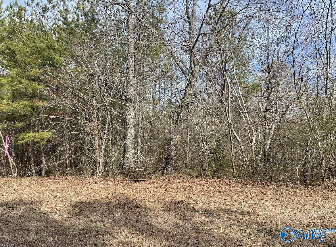 LOT 2 Bright Drive, Blountsville, Alabama image 4