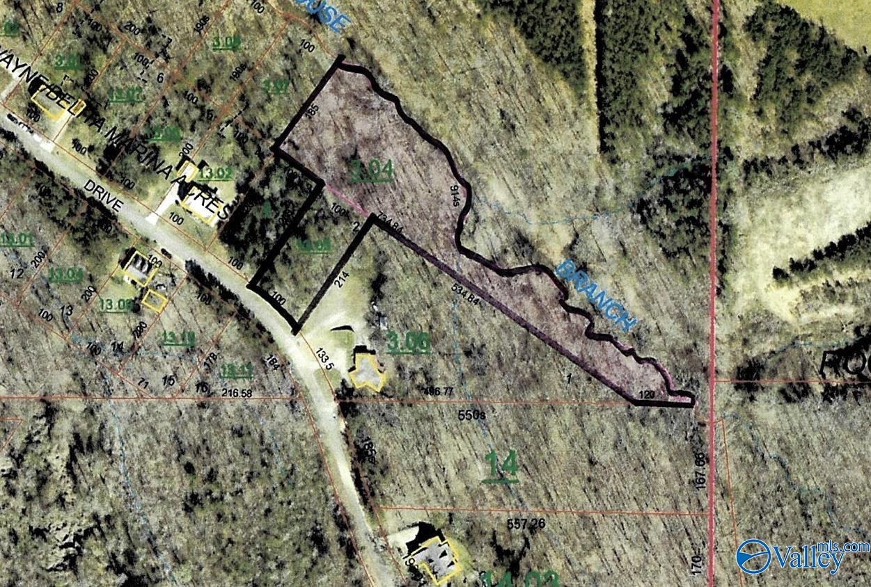 LOT 2 Bright Drive, Blountsville, Alabama image 1