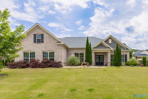 7000 SE Jane Elizabeth Drive Owens Cross Roads AL 35763