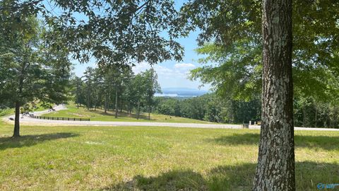 Vacant Land For Sale - LOT 70 County Road 767 #70<br/> Cherokee County, Cedar Bluff, AL 35959