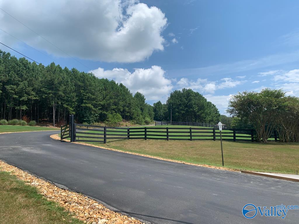 Lot 70 County Road 767 #70, Cedar Bluff, Alabama image 8