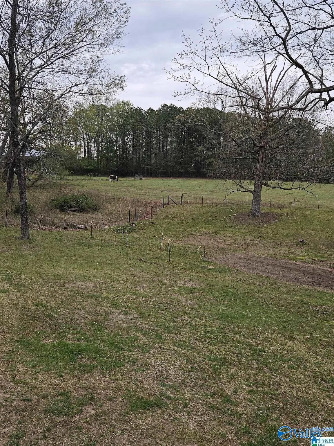 3127 County Road 83, Collinsville, Alabama image 18