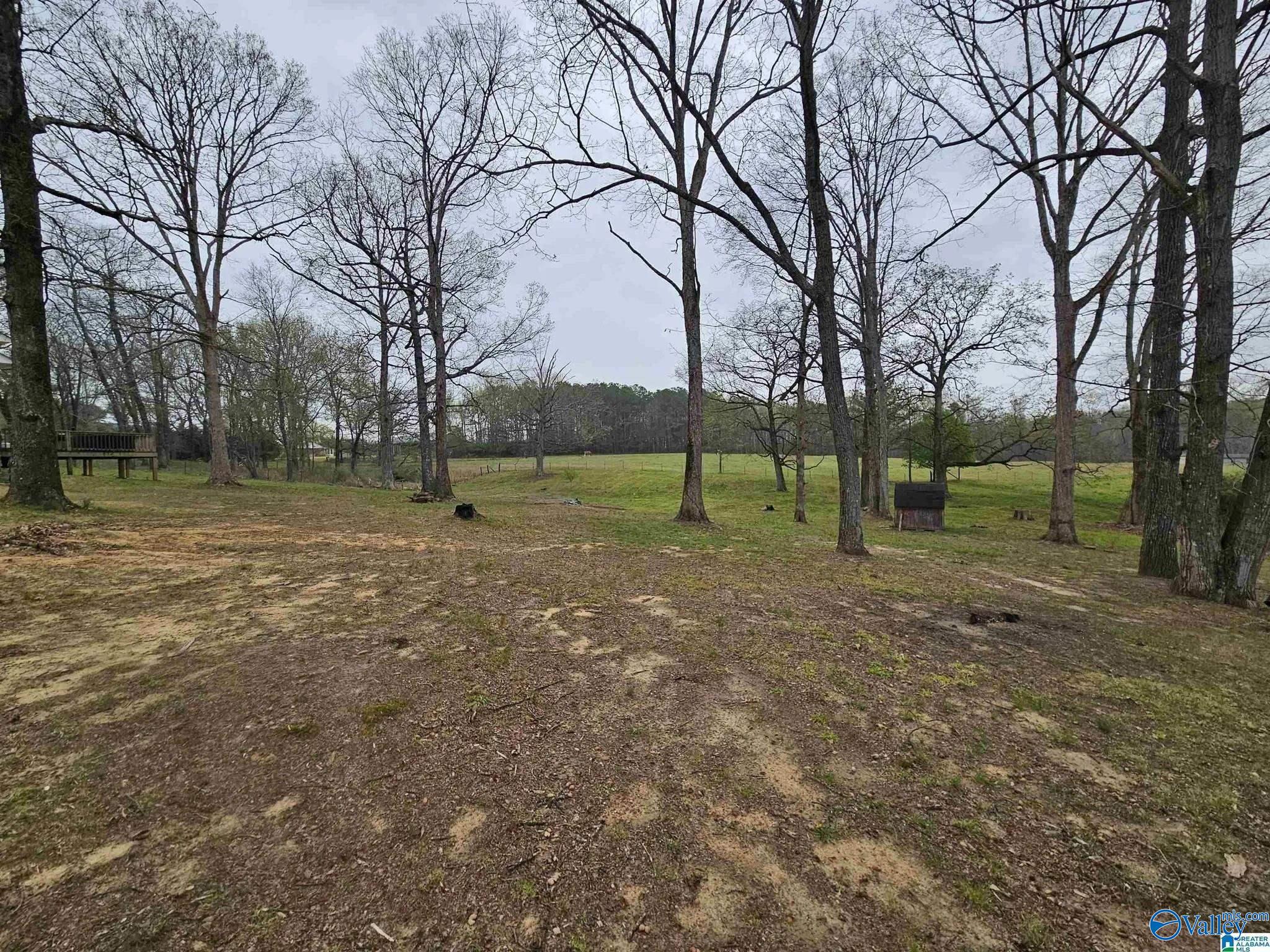 3127 County Road 83, Collinsville, Alabama image 20