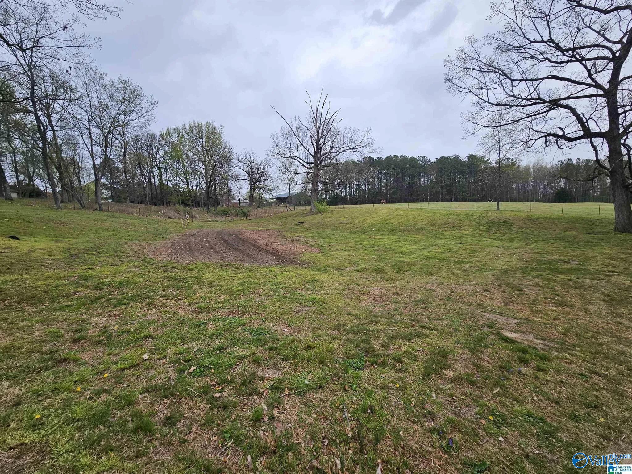 3127 County Road 83, Collinsville, Alabama image 17