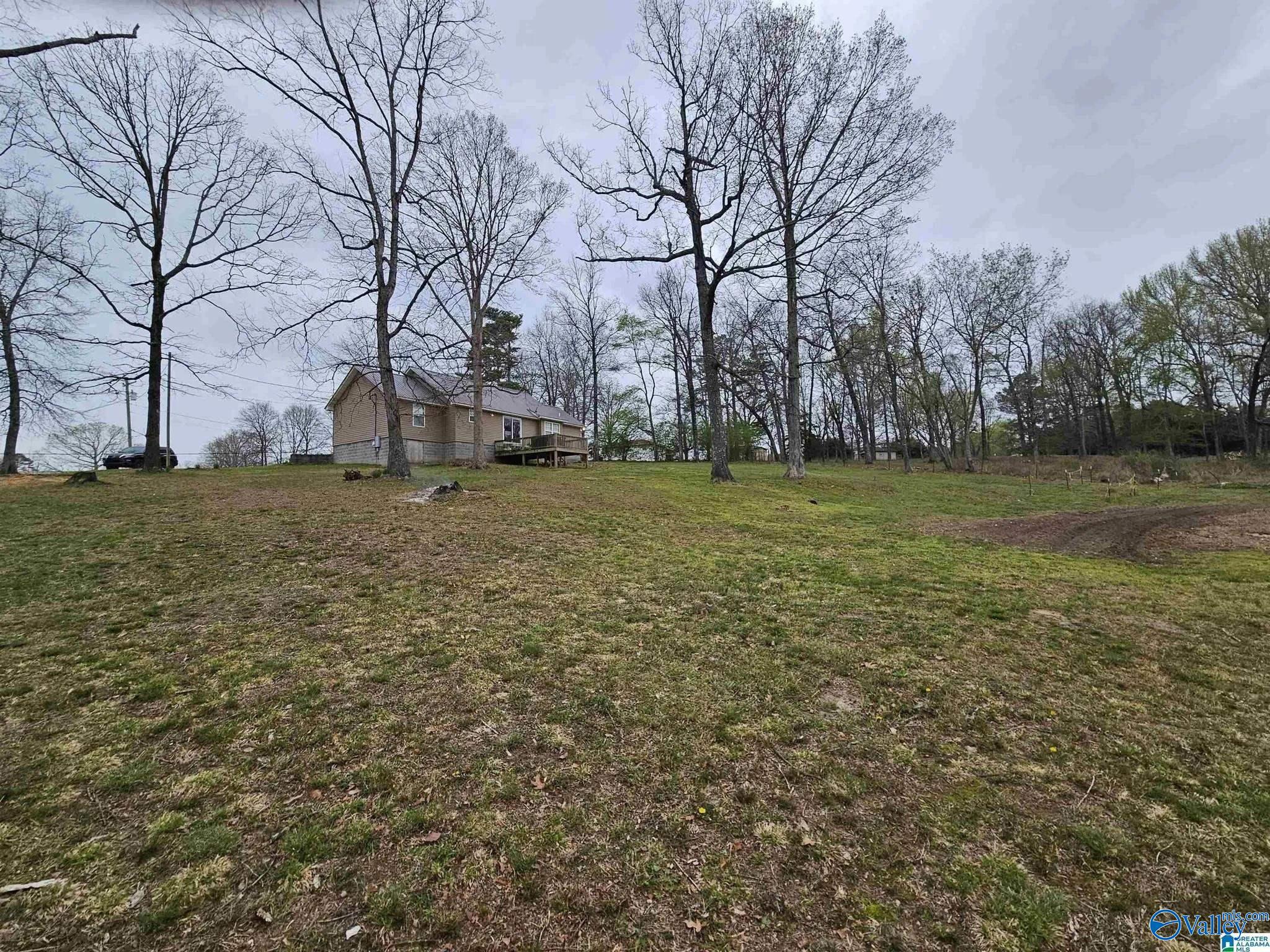 3127 County Road 83, Collinsville, Alabama image 16