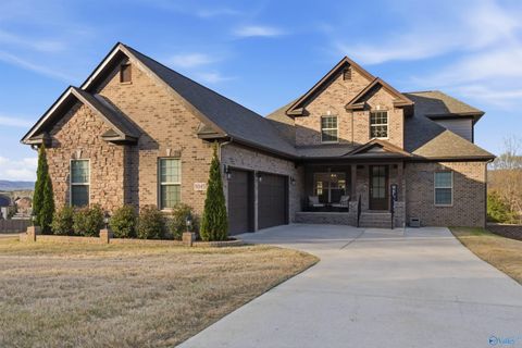 Photo of 8045 SE Goose Ridge Drive, Owens Cross Roads, AL 35763 (MLS # 21912312)