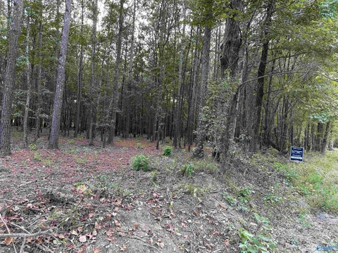 Vacant Land For Sale - 24 County Road 1011 #LOT 24<br/> Cherokee County, Centre, AL 35960