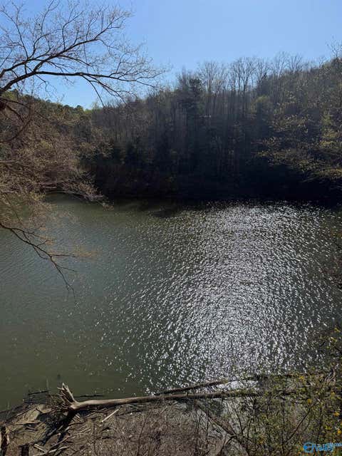 Vacant Land For Sale - LOT  11 County Road 3782<br/> Arley, AL 35541