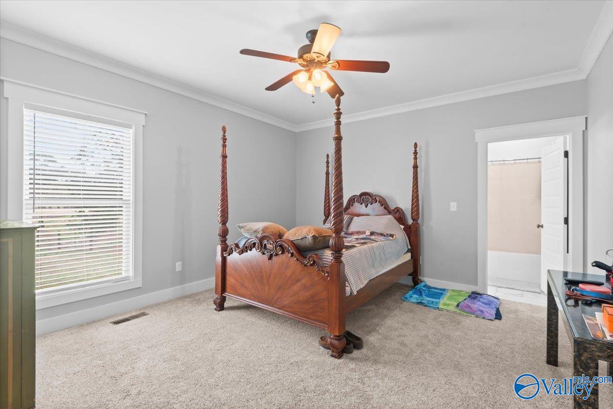 190 Willow Lake Circle, Guntersville, Alabama image 19