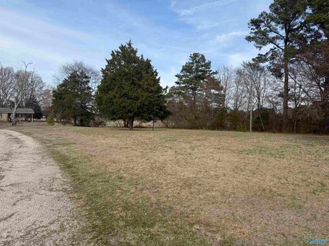 Vacant Land For Sale - 3153 County Road 140<br/> Town Creek, AL 35672
