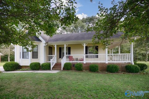 Homes For Sale - 133 NW Andys Drive<br/> Hazel Green, AL 35750