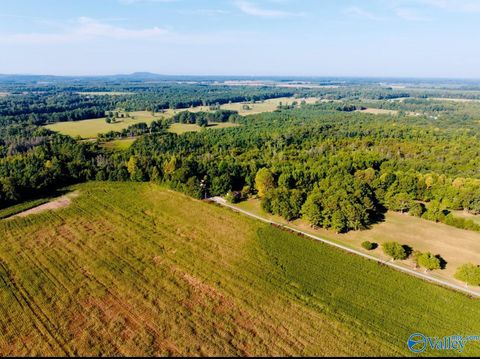 778 Opp Reynolds Road Toney AL 35773