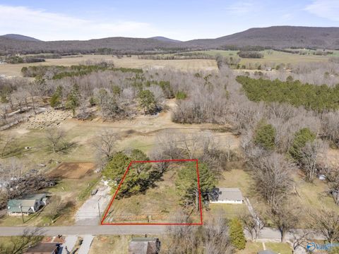 Vacant Land For Sale - 365 Section Line Road<br/> Gurley, AL 35748