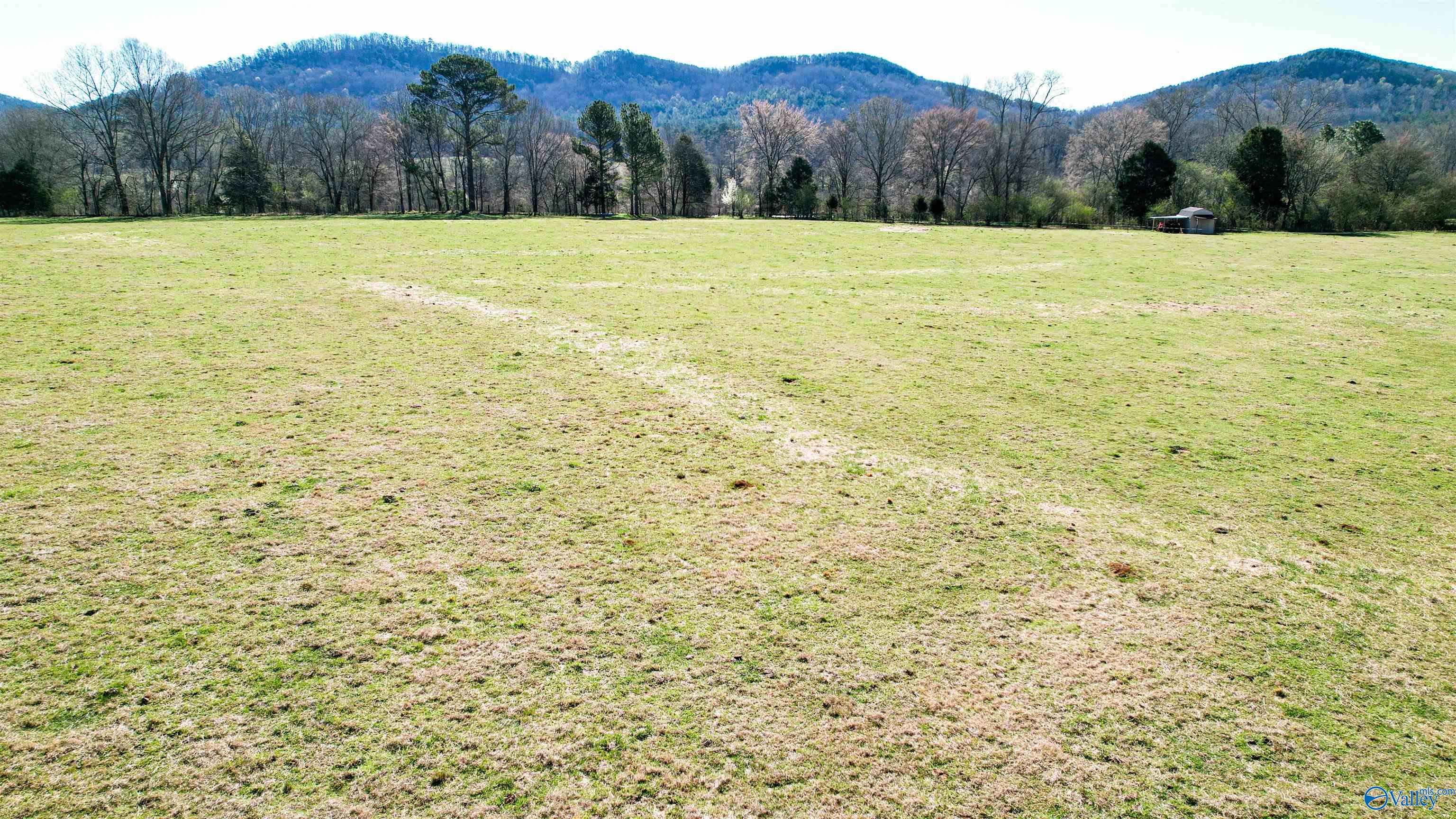 1580 County Road 41, Gaylesville, Alabama image 1