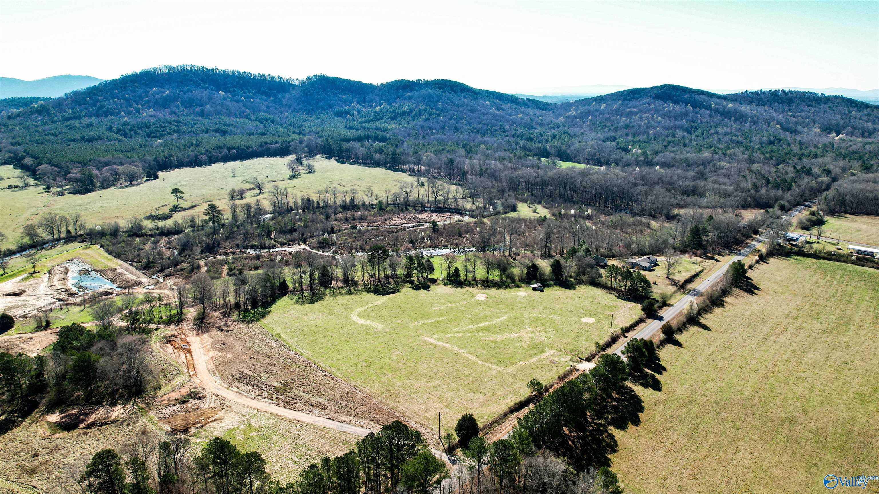 1580 County Road 41, Gaylesville, Alabama image 5