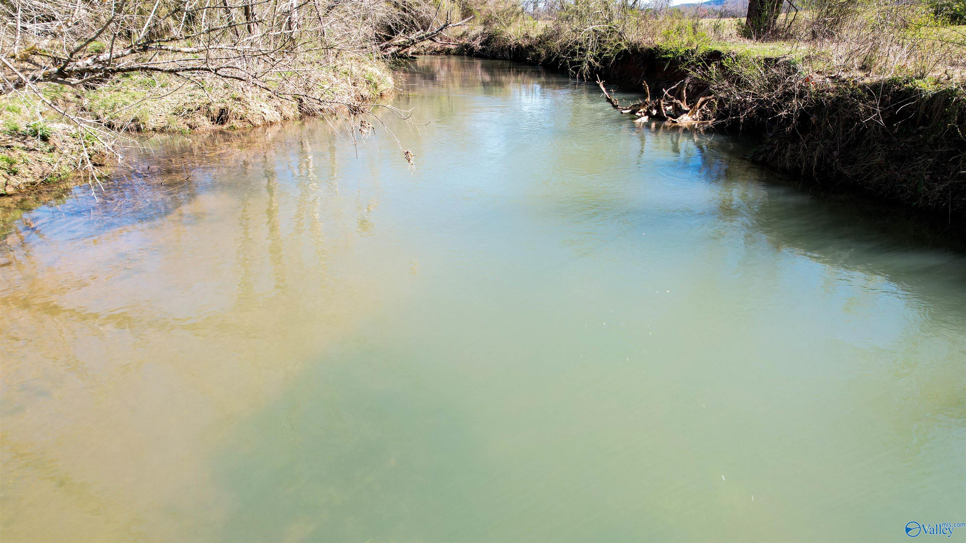 1580 County Road 41, Gaylesville, Alabama image 13