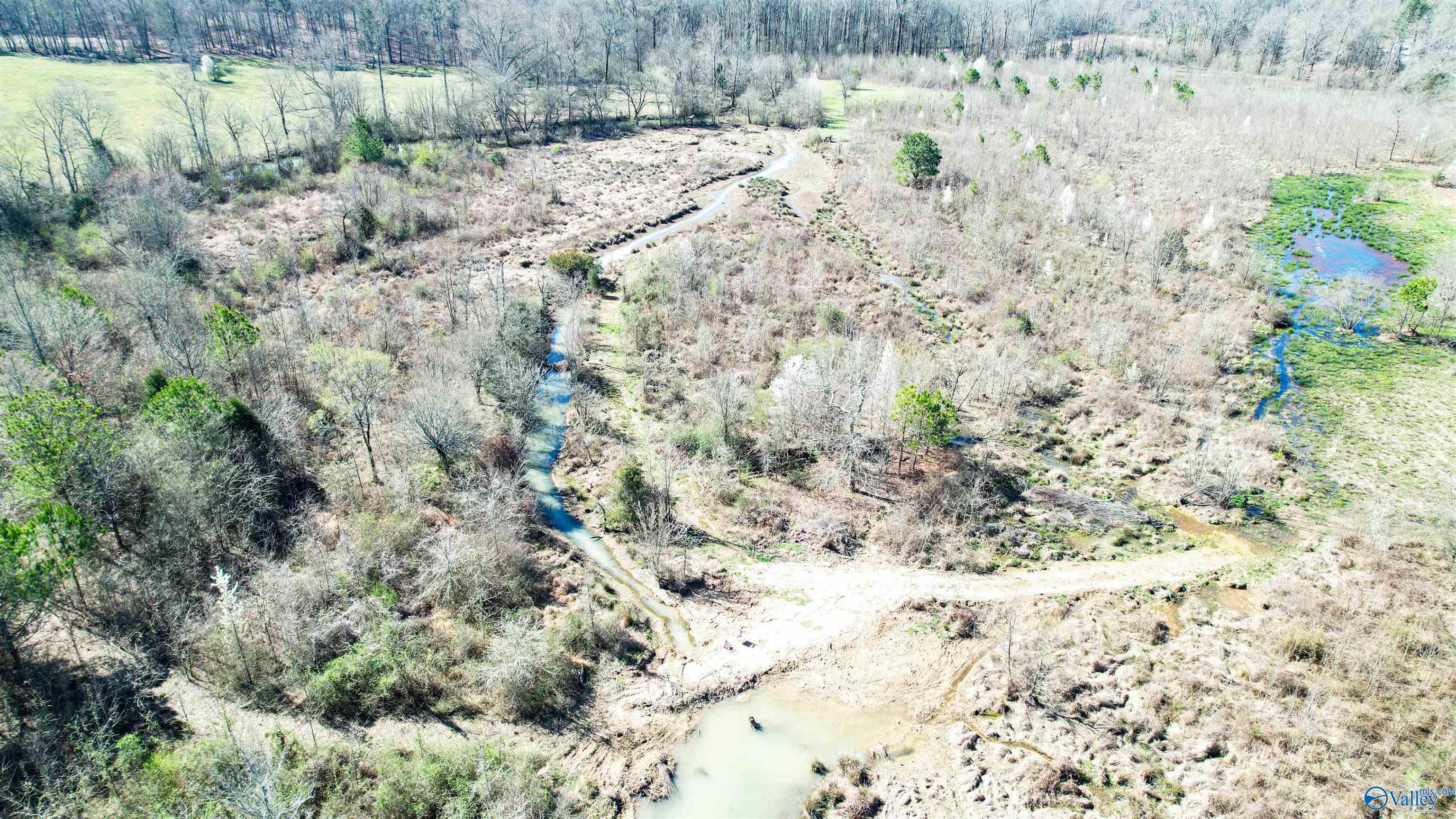 1580 County Road 41, Gaylesville, Alabama image 11