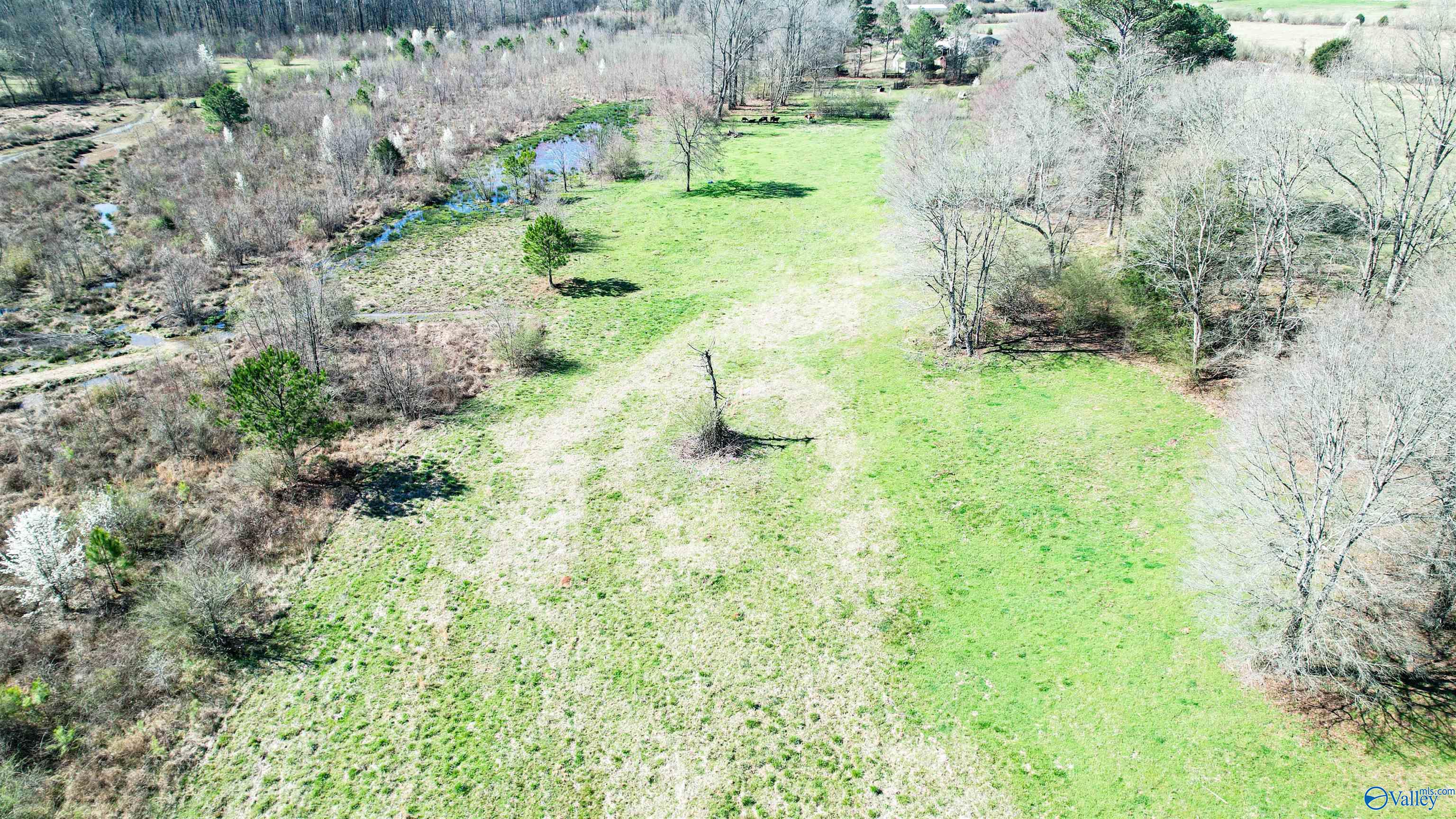 1580 County Road 41, Gaylesville, Alabama image 10