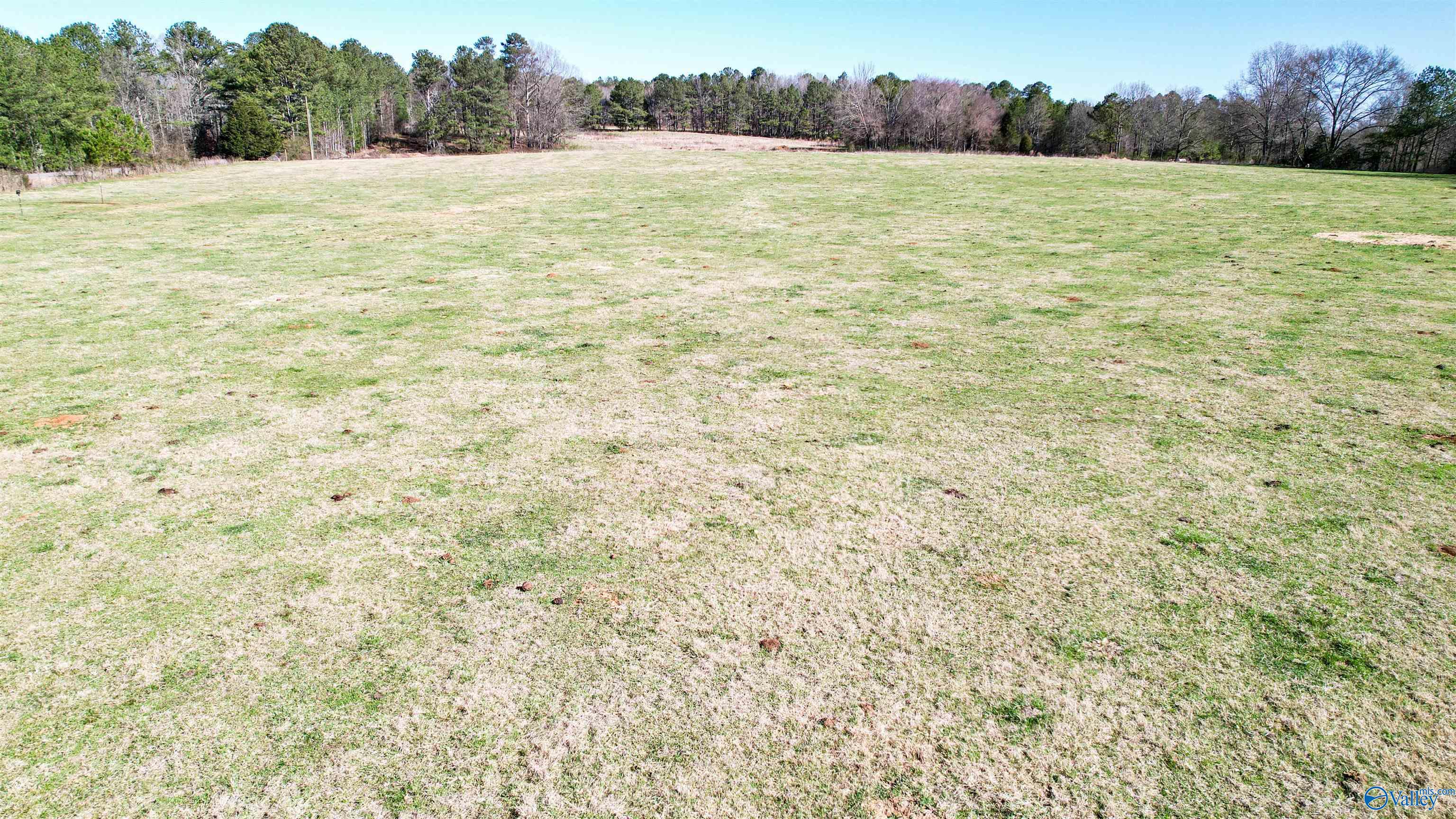 1580 County Road 41, Gaylesville, Alabama image 4